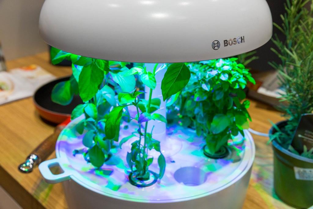 Indoor Gardening: Rising Crops Indoors for 12 months-Spherical Enjoyment