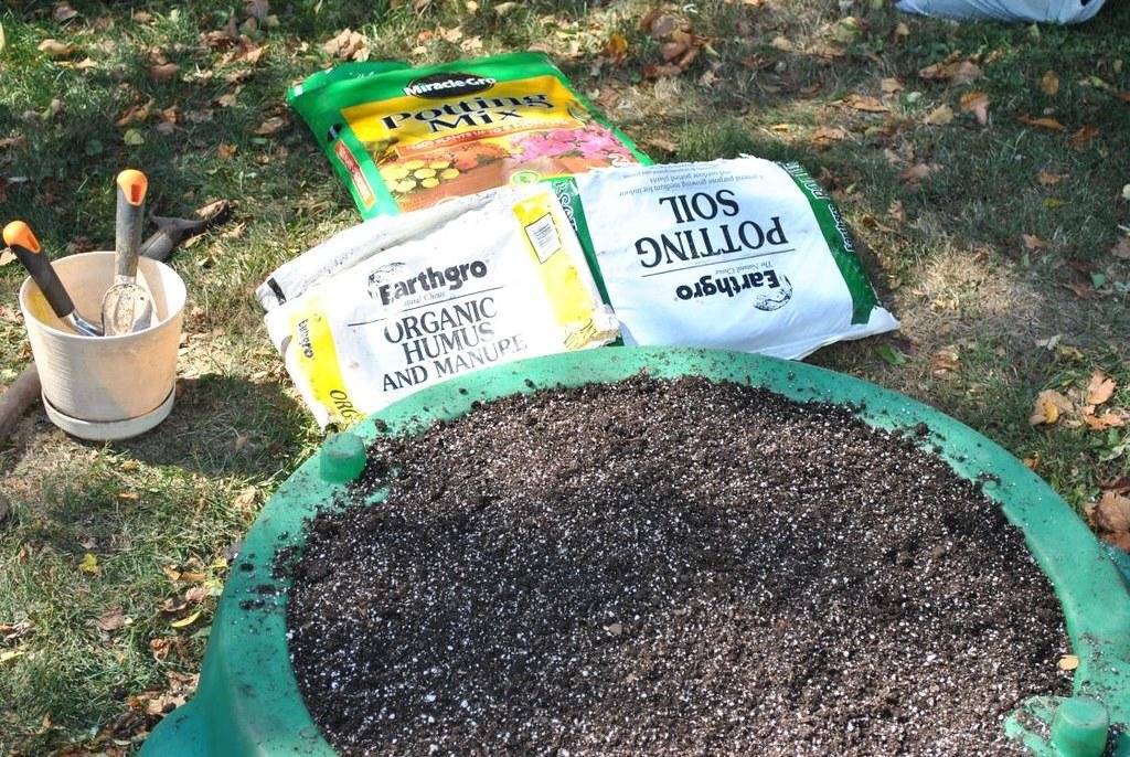 Creating an Ideal Growing Environment:‍ Soil Mix,⁢ Irrigation, and⁣ Planting Strategies