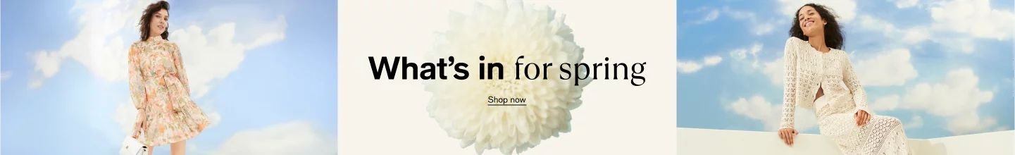 spot_img